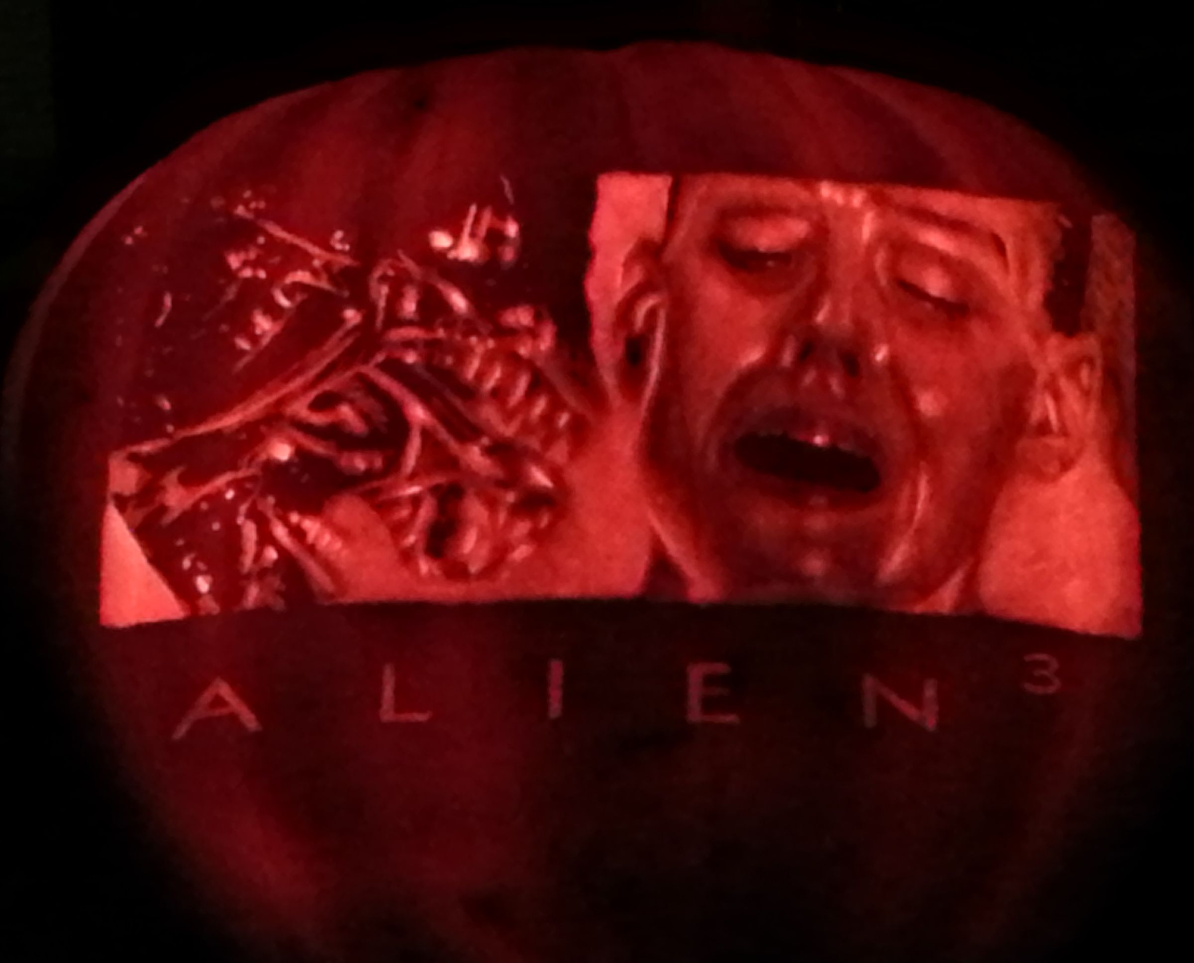 Carved Halloween Pumpkin Portraits