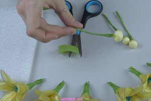 Bu Eğitimi İzlemek Çok Harika ve Bu İşin Ne Kadar Yenilikçi Olduğunu Seviyorum.