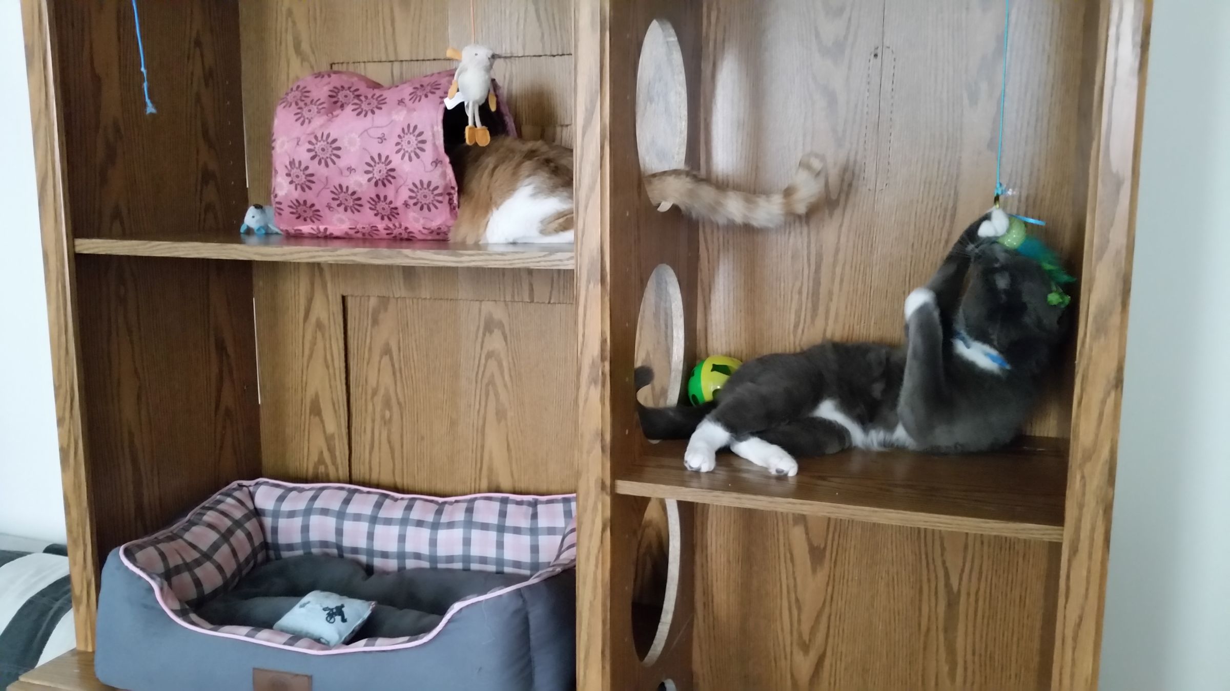 Cheap Cat House 6 Steps (with Pictures) Instructables