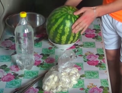 To Do a Mega CRAZY Experiment With a Watermelon You Need!