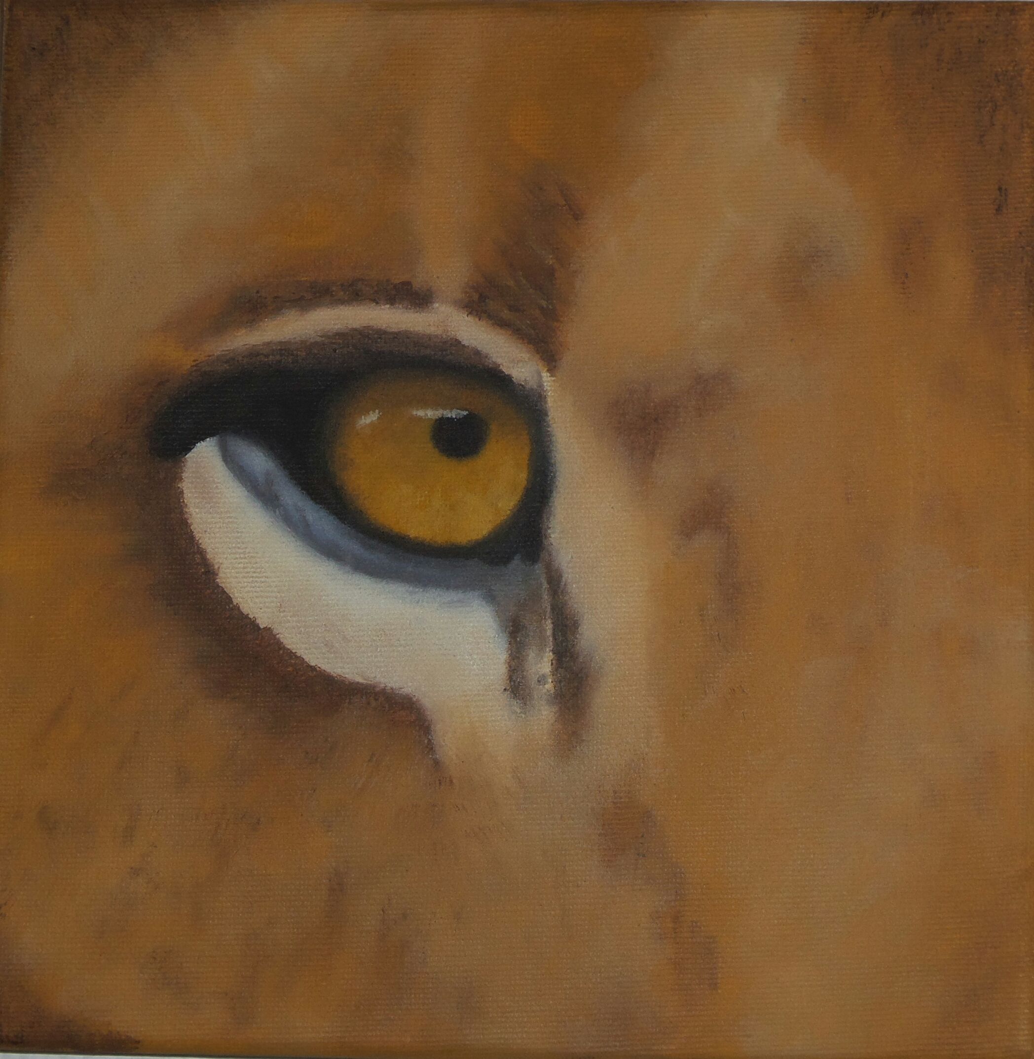 NadjasDiversDiversions