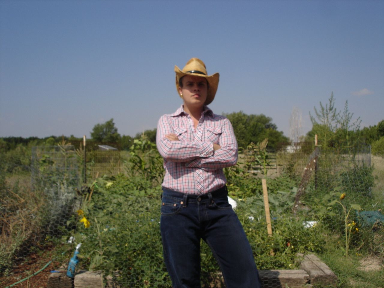 Grow Organic Food Without Spending $ 