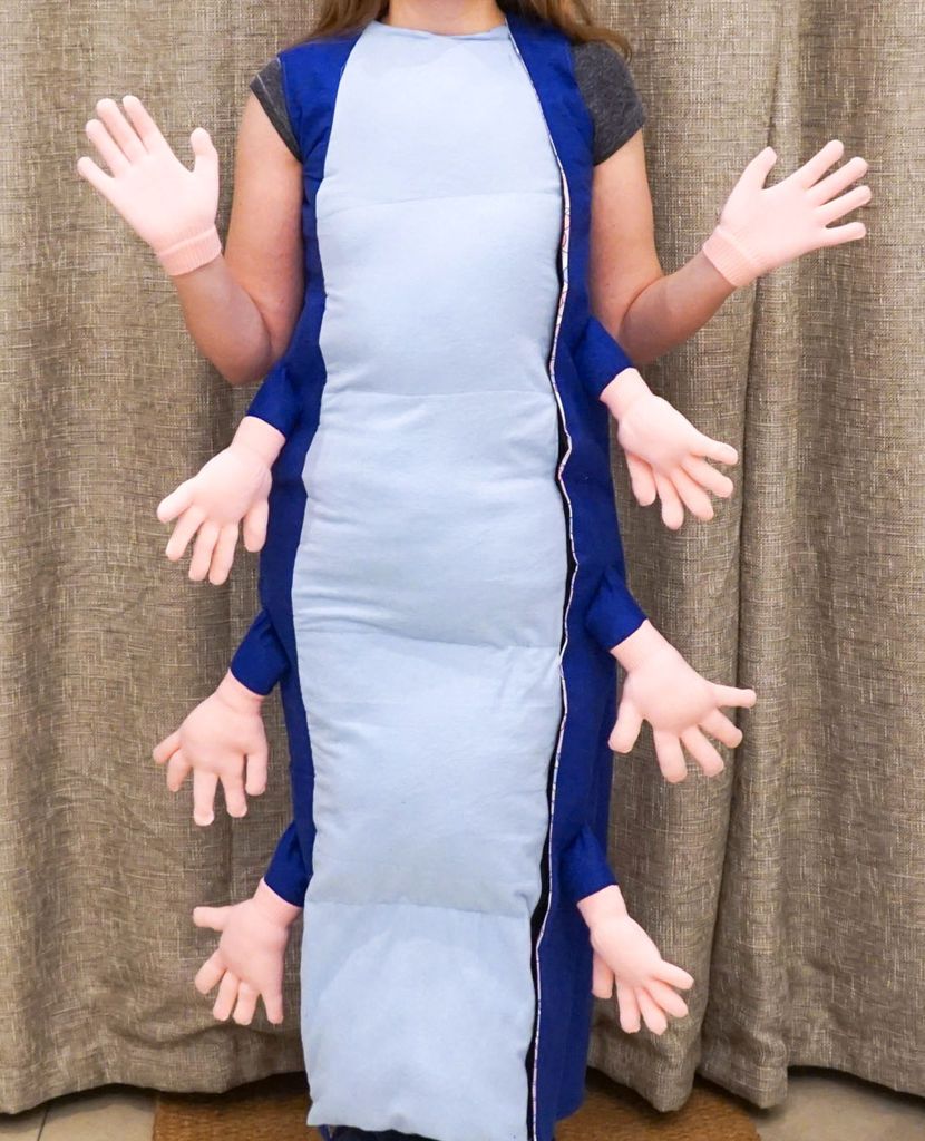 Diy Absolem Caterpillar Costume Alice In Wonderland Fancy