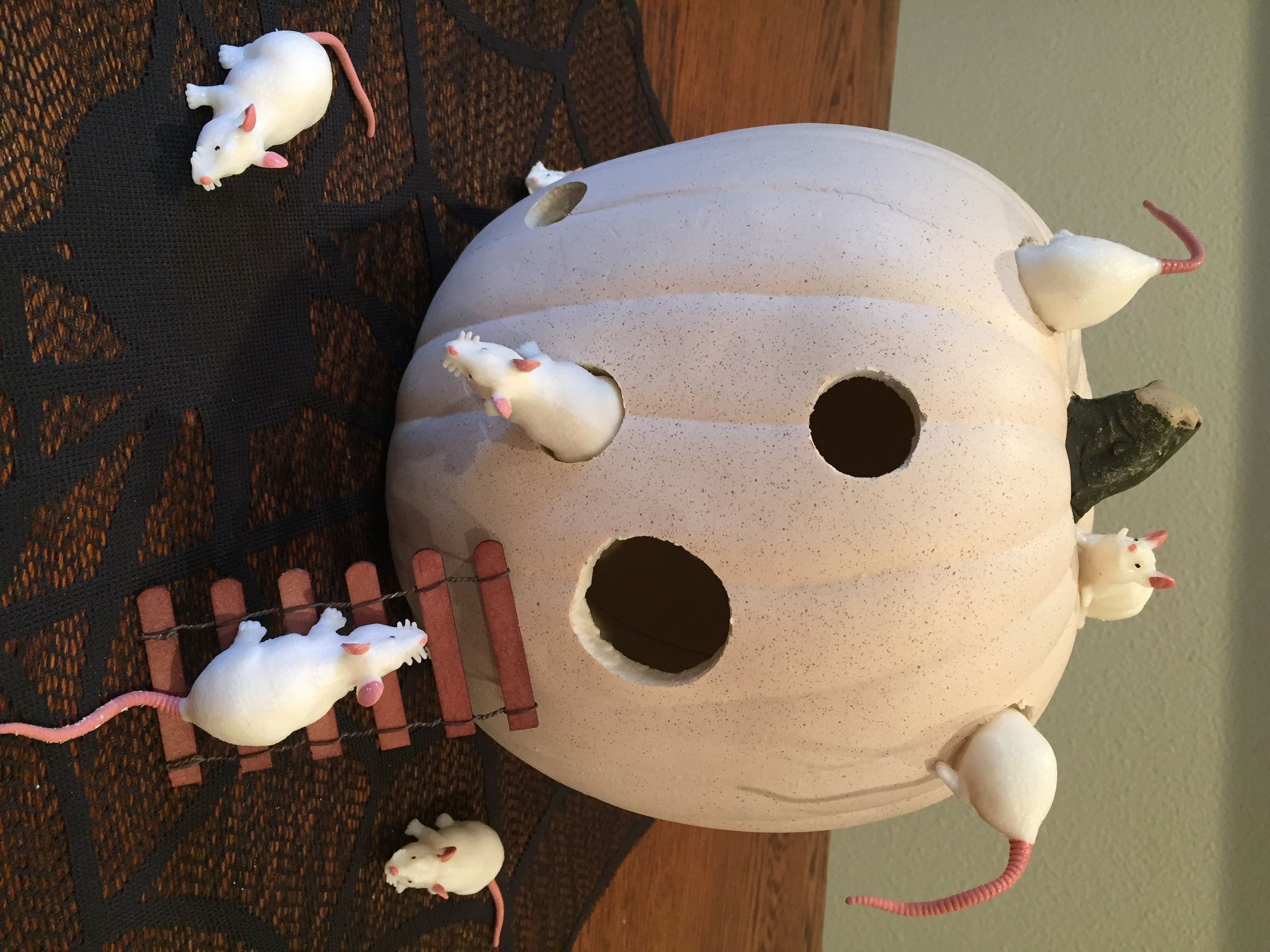 Swiss Cheese Mouse