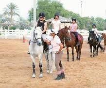 How to Learn Horse Riding in Abu Dhabi