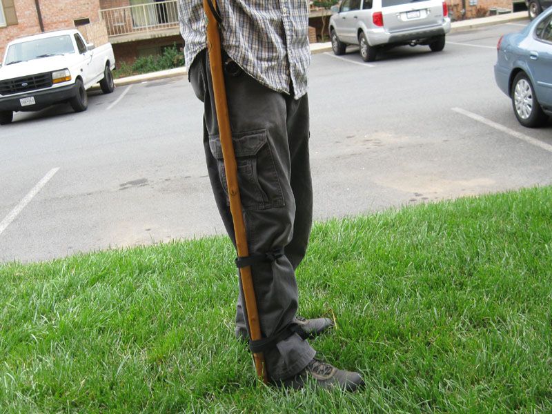 Hands Free Walking Stick