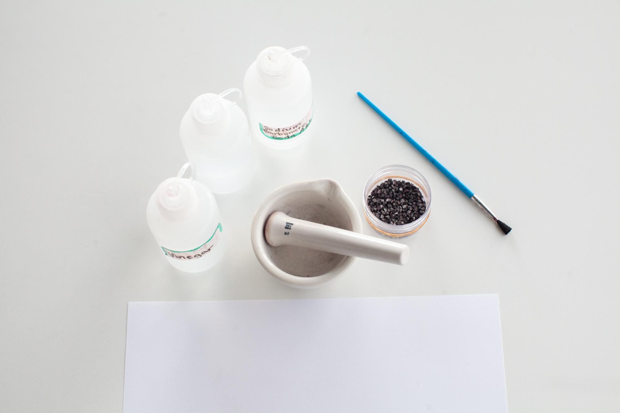 Make Paint/Dye From Natural Materials Like Cochineal Bugs! : 5 