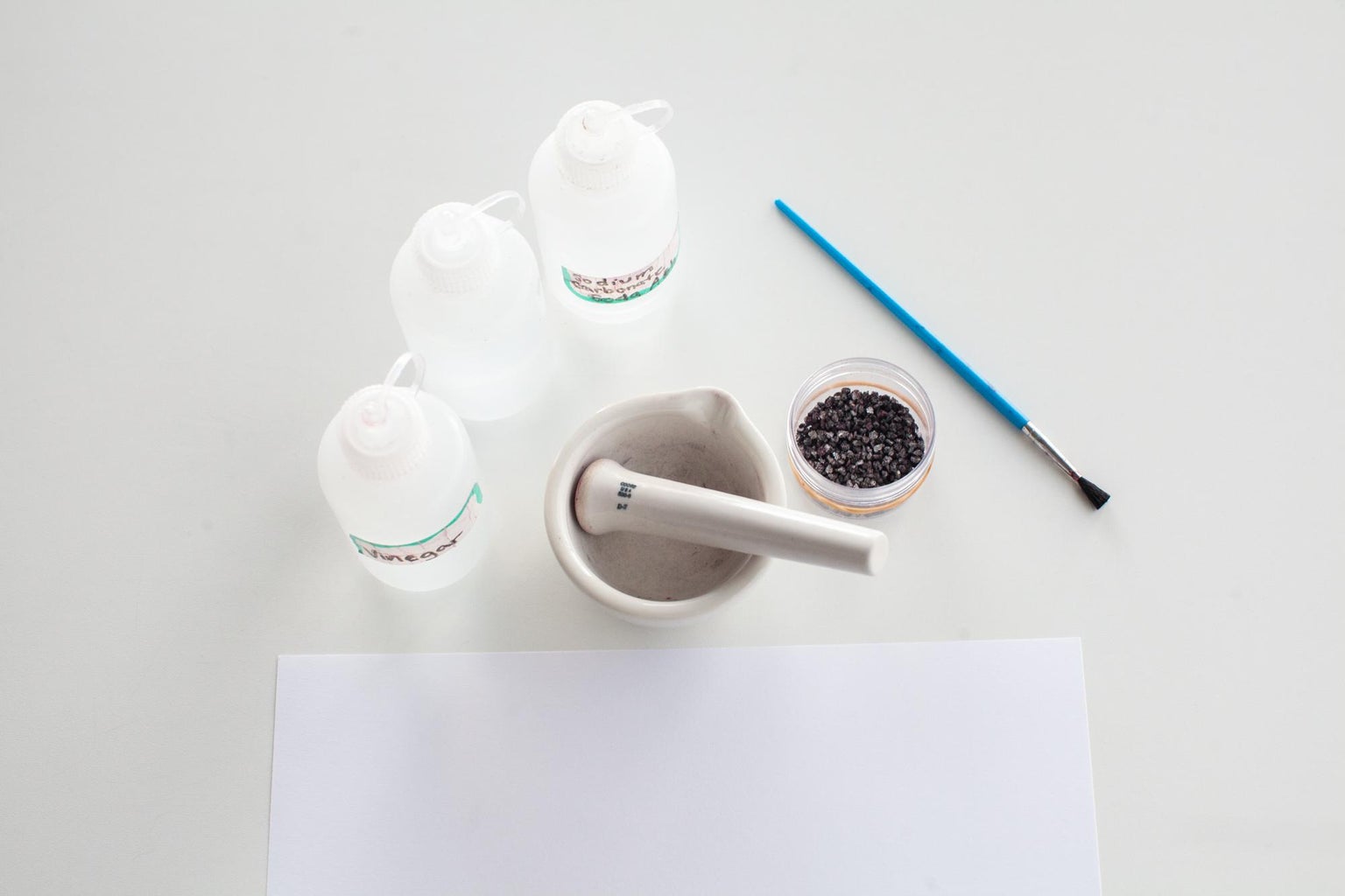 Make Paint/Dye From Natural Materials Like Cochineal Bugs! : 5