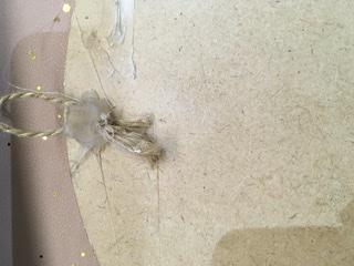 Colouring, Base and Assembly