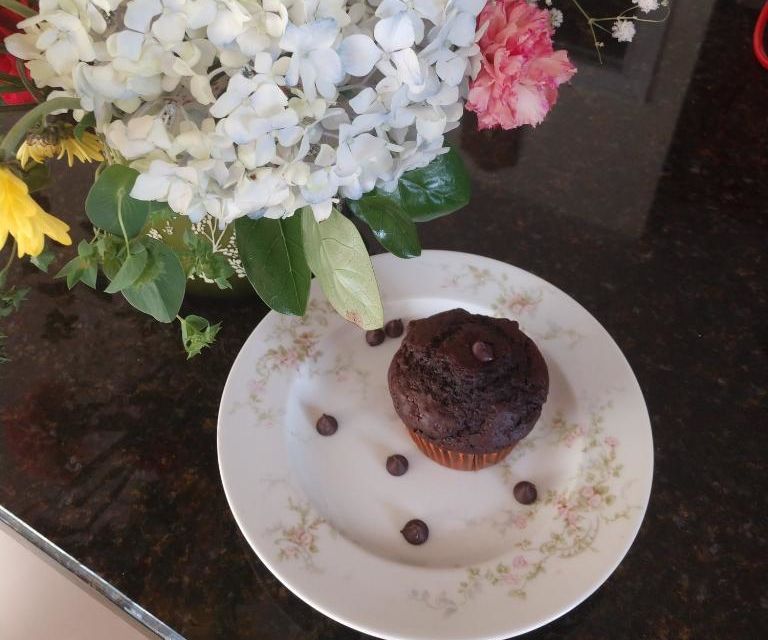Chocolate Chocolate Chip Muffins From Disney's Andi Mack