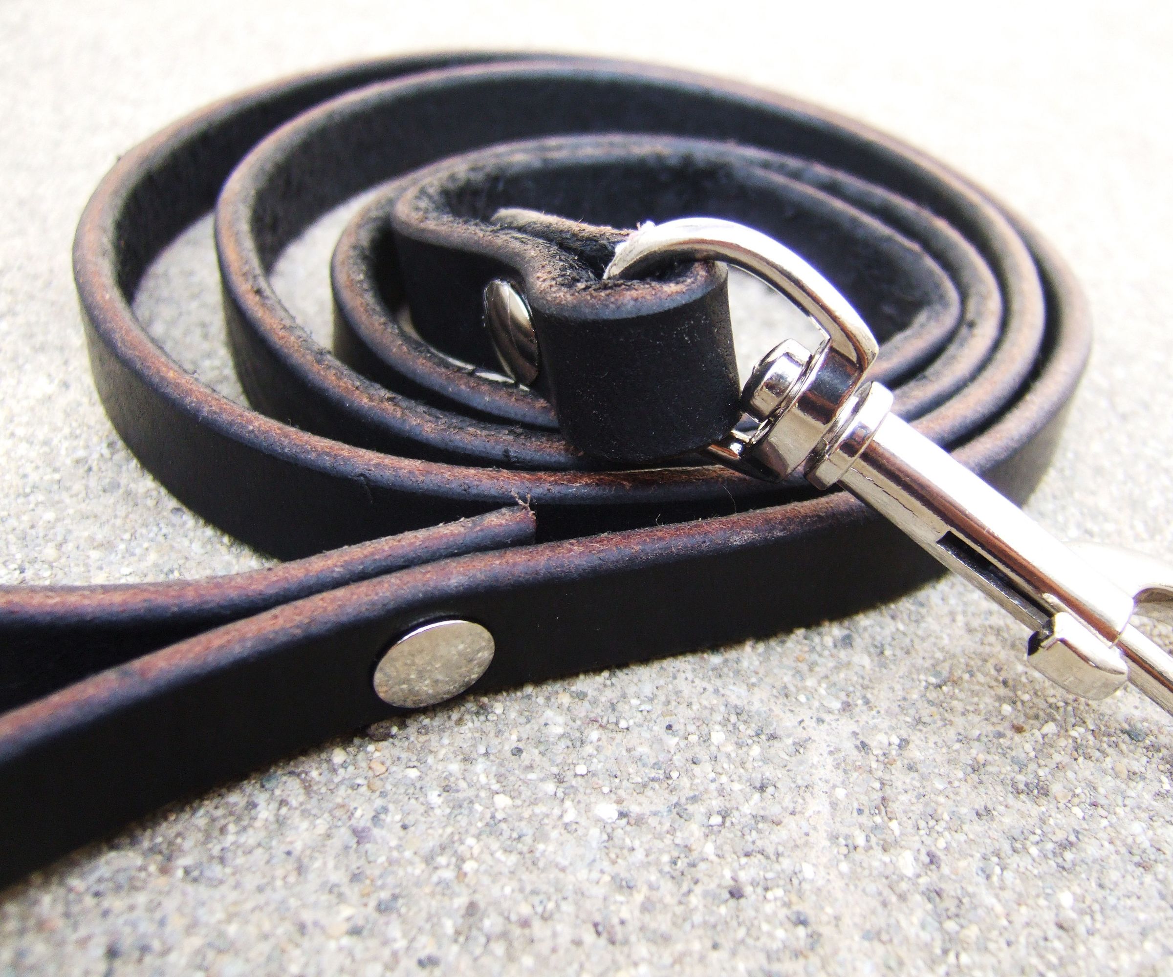 Simple and Strong Leather Lead / Leash