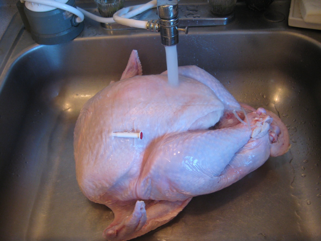 turkey with carrots celery and onions