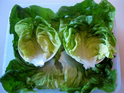 Angry Birds Bento Box