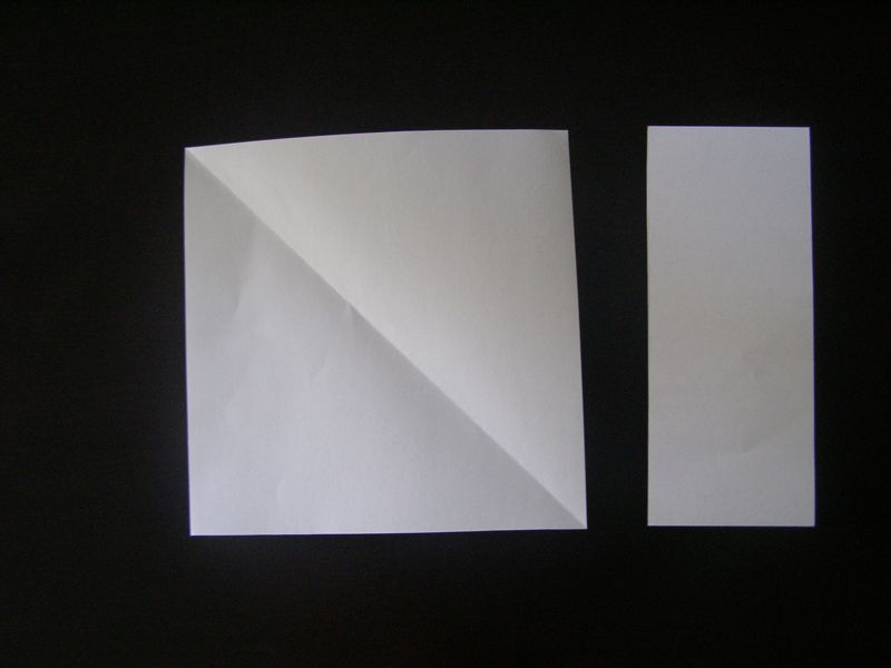 Step 5