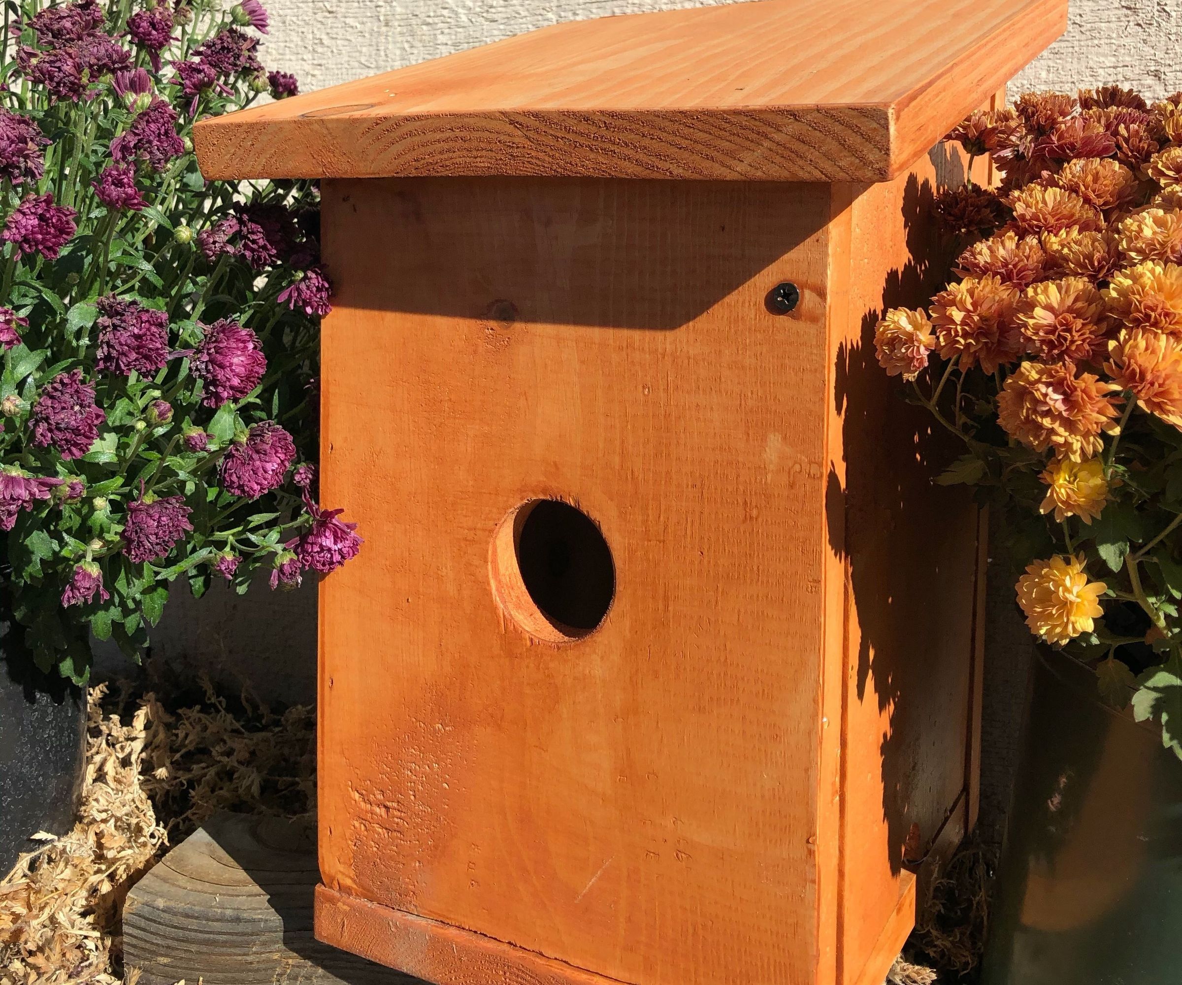 House Finch Birdhouse