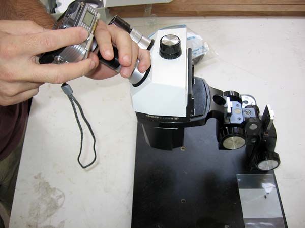 Take digital photos through a microscope without any special lens or adapter