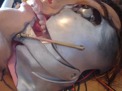 Jaw Piston