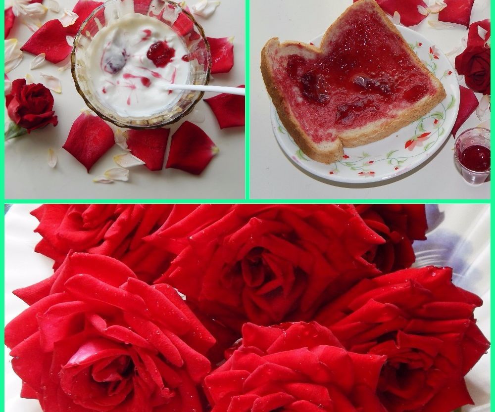 Easy 2 Steps to Prepare Rose Jam