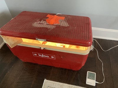 Using the Incubator