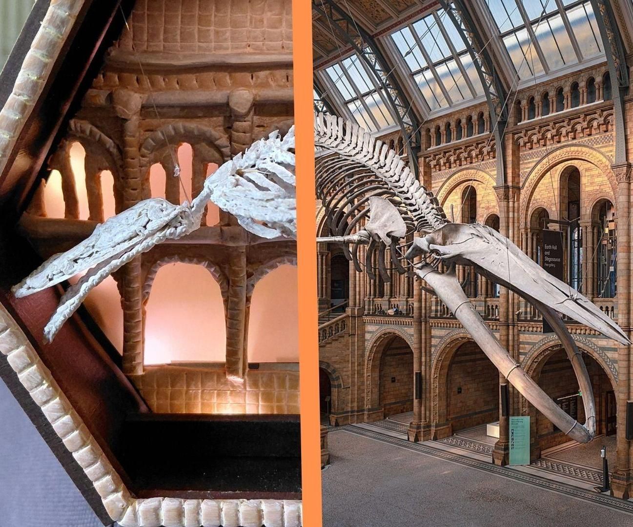 Miniature Blue Whale Skeleton - 3d Pen & Clay Light Box