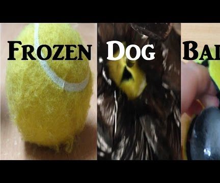 Frozen Dog Treat Ball