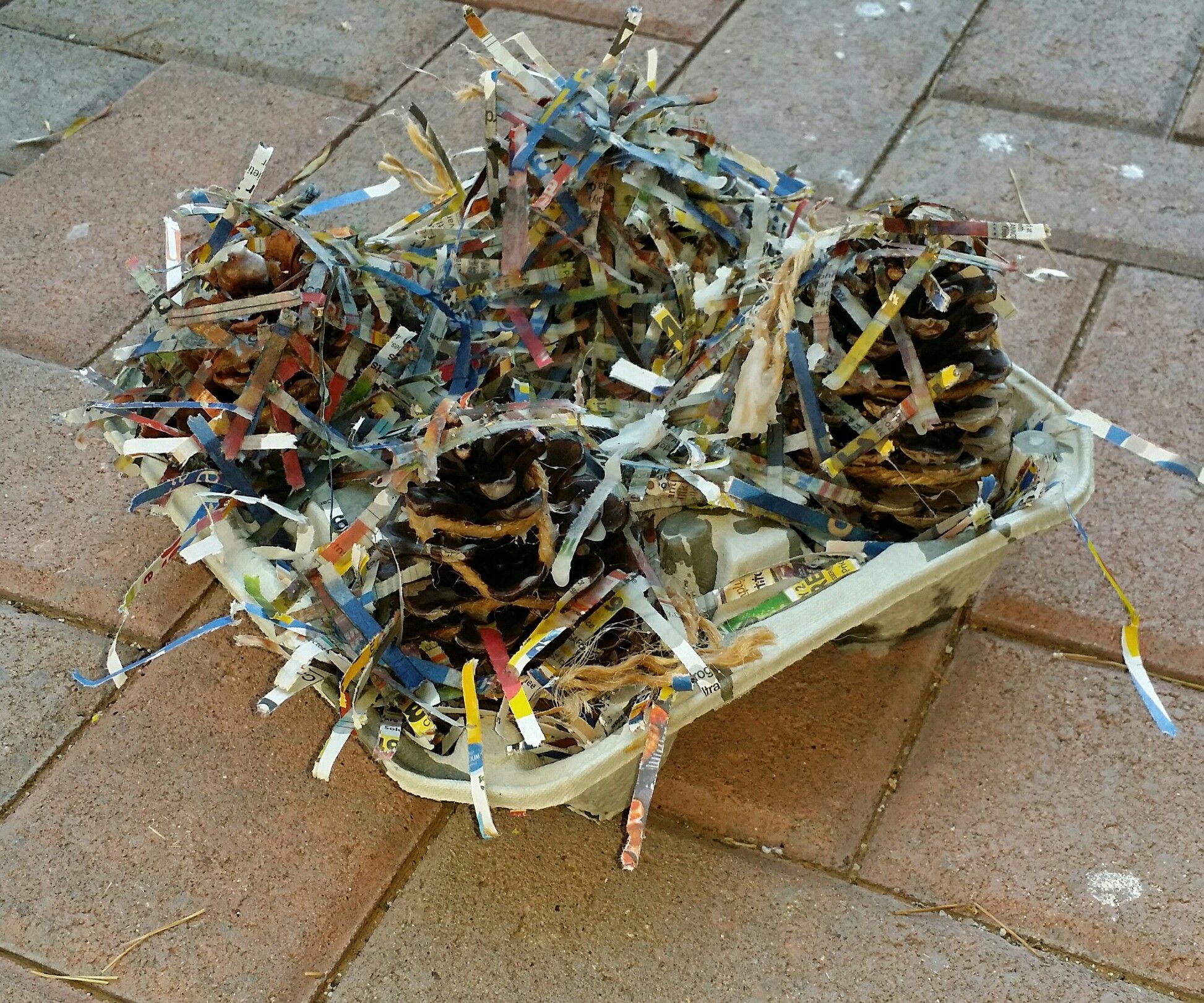 Pinecone Campfire Starter