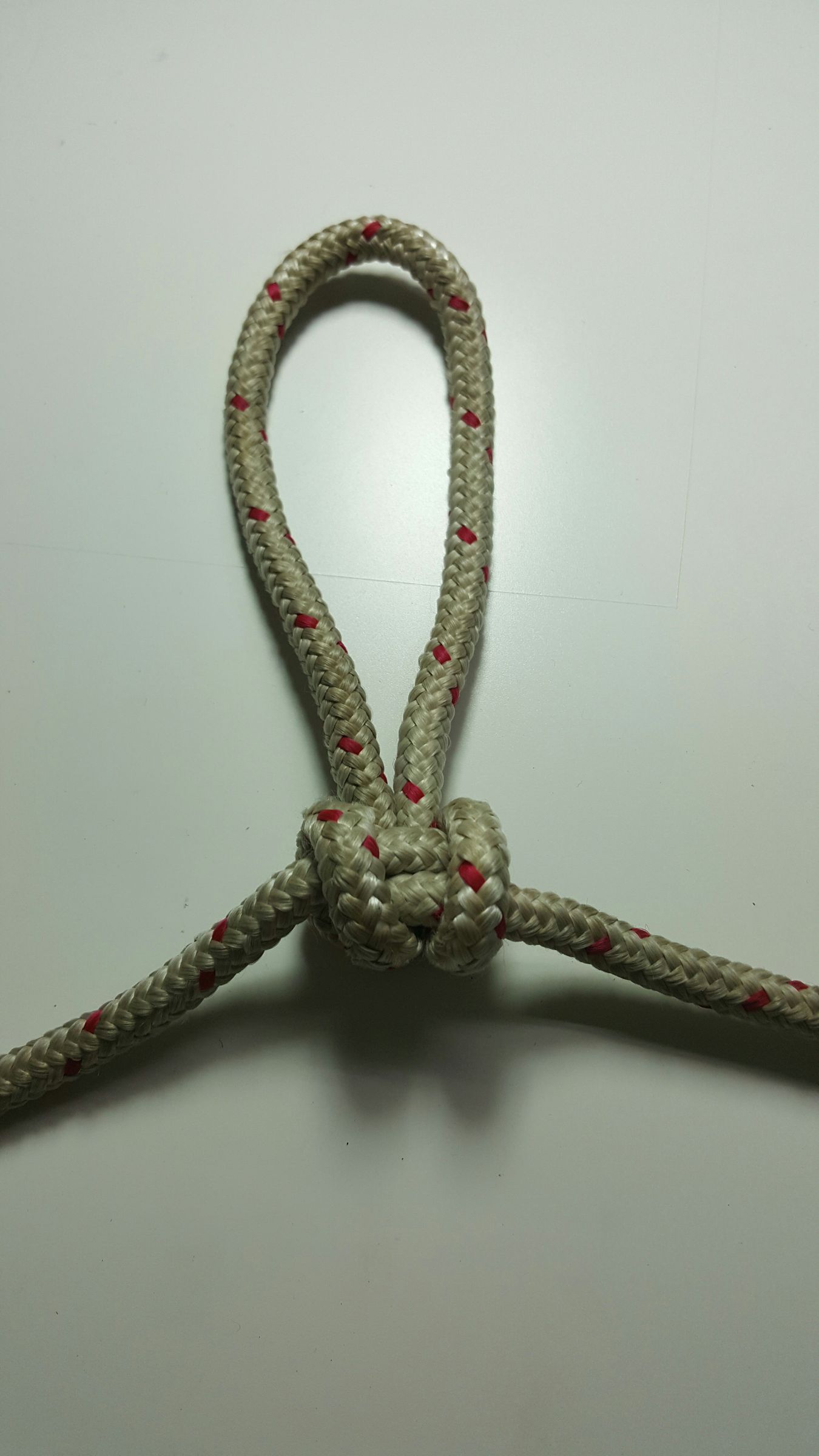 Nudo Alpine Butterfly Loop