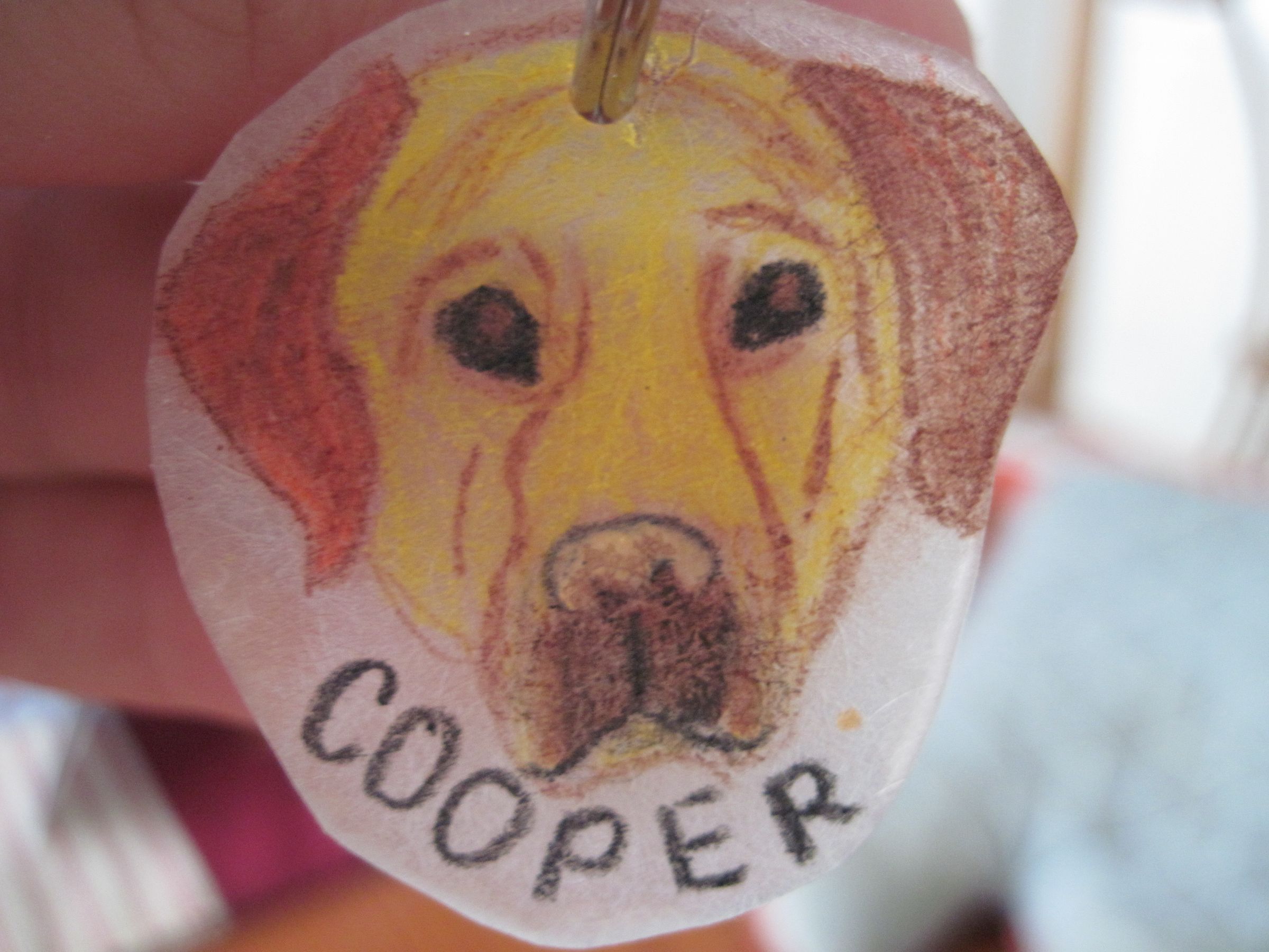 Pet Tags! 4 Steps Instructables