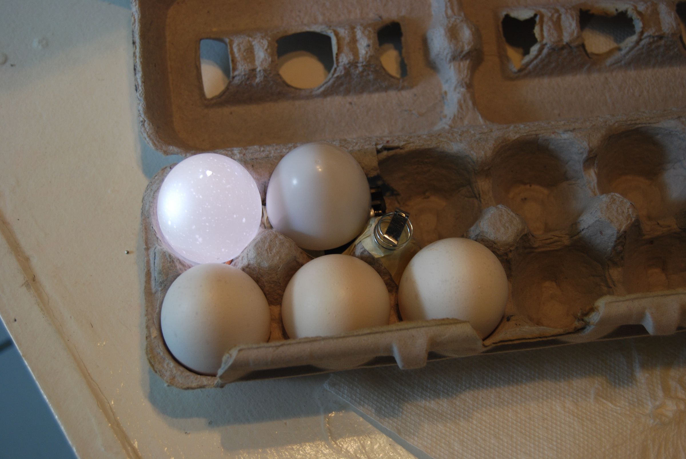 Egg Carton Light