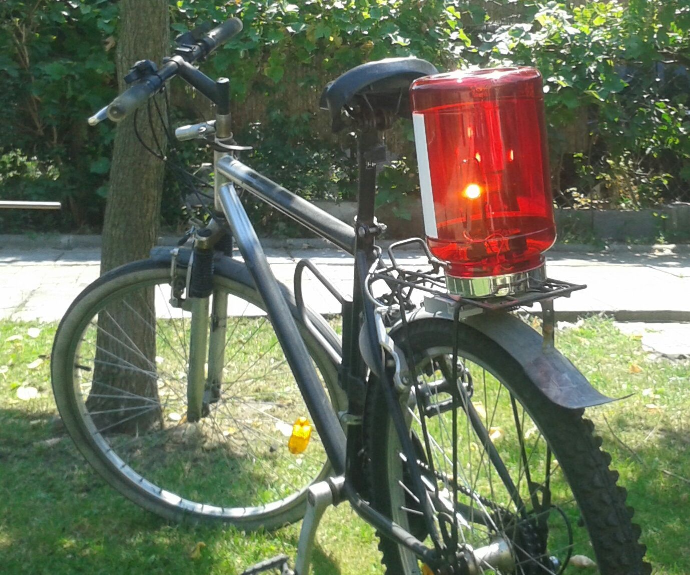 Bicycle Back Light - a Big One
