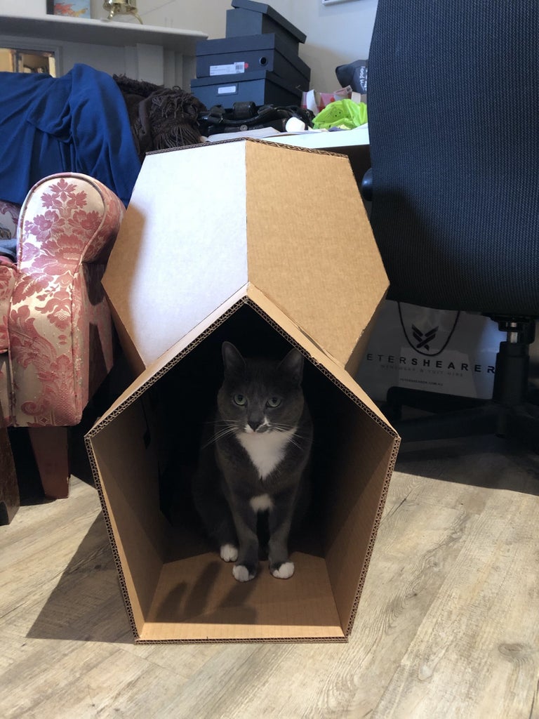 Cardboard Space Igloo for Cats (+ Spacepod Inspiration) : 7 Steps (with