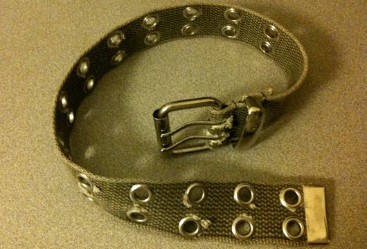10 Minute Dog Collar