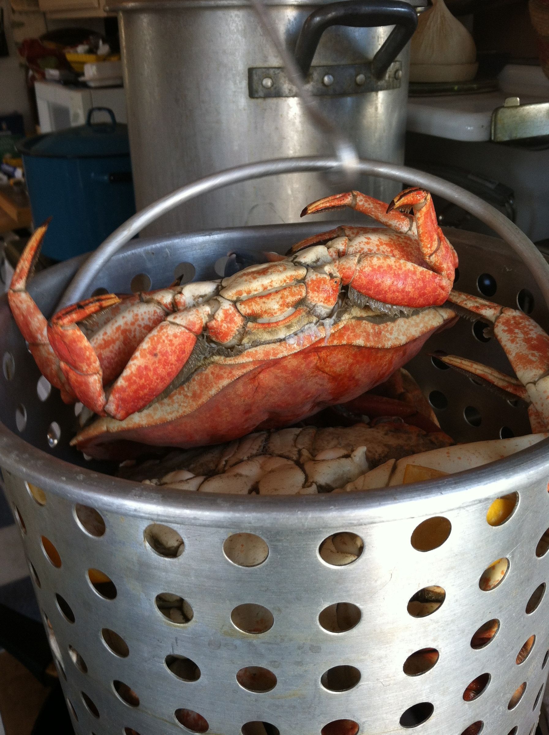 How To Cook And Clean A Crab