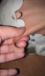 Shaping/Molding