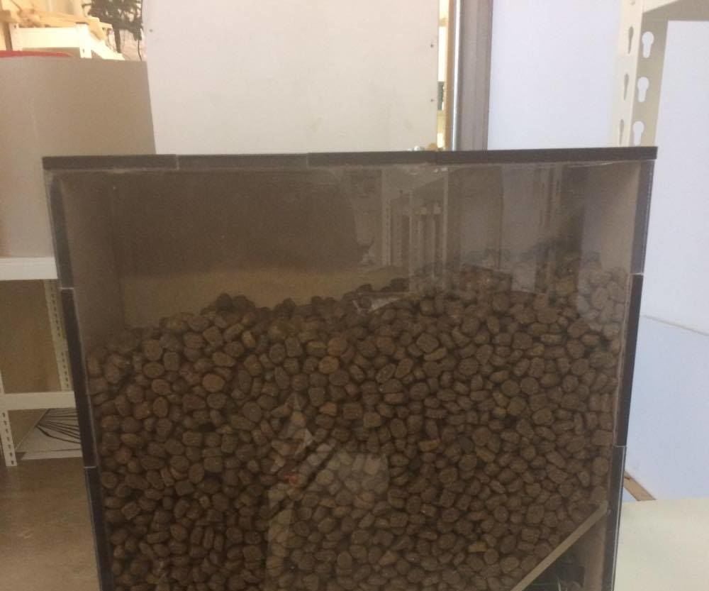 Feed Mi Arduino Dog Food Dispenser 7 Steps (with Pictures