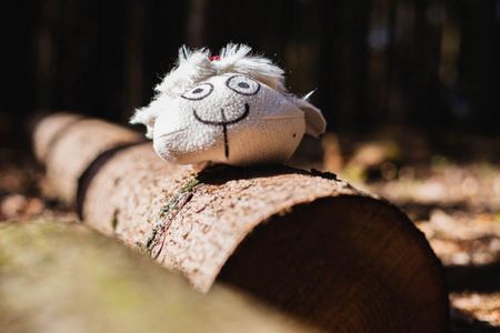 War of the Sheep