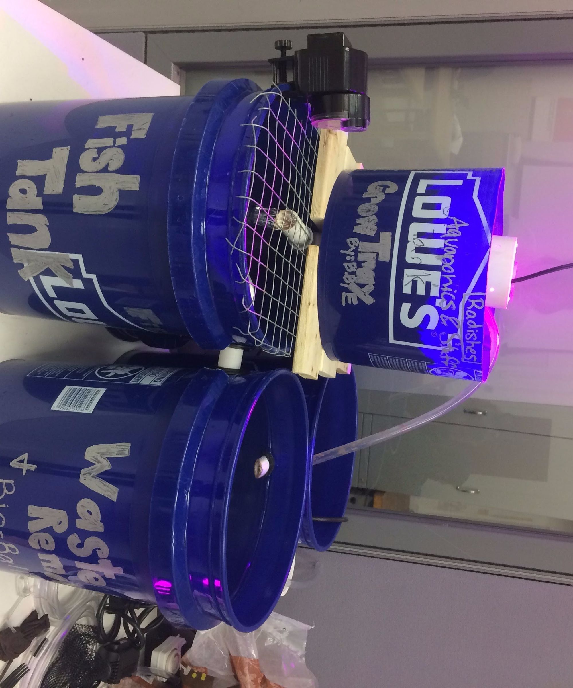 20-gallon Aquaponics System