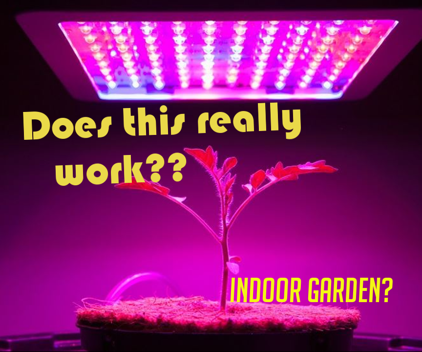 Classroom Grow Lights