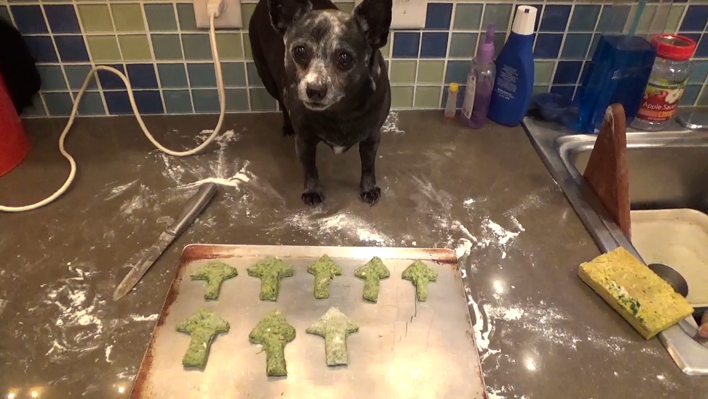 Homemade Spinach Dog Biscuits 4 Steps Instructables