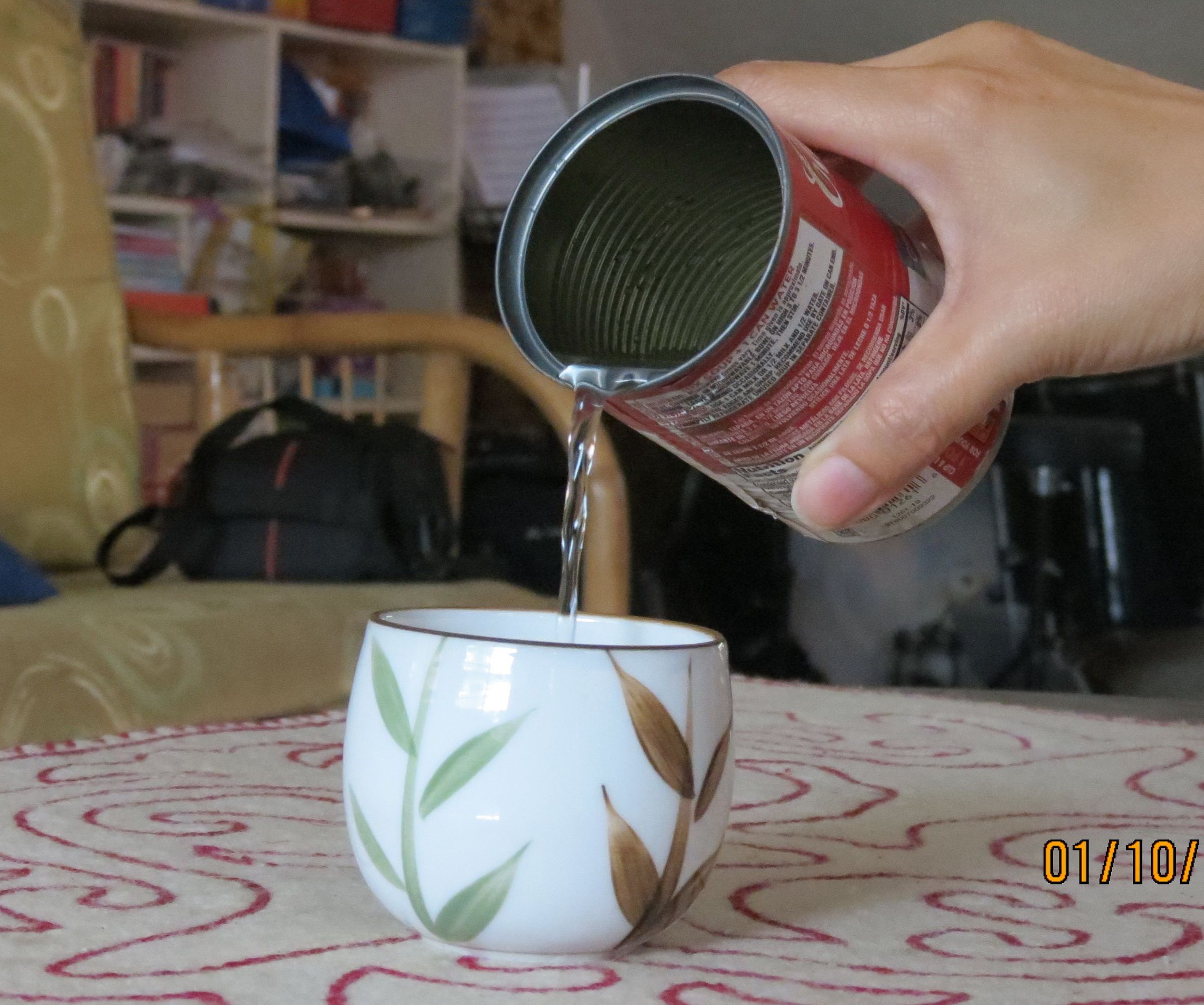 How to Get Fresh Water in the Wild