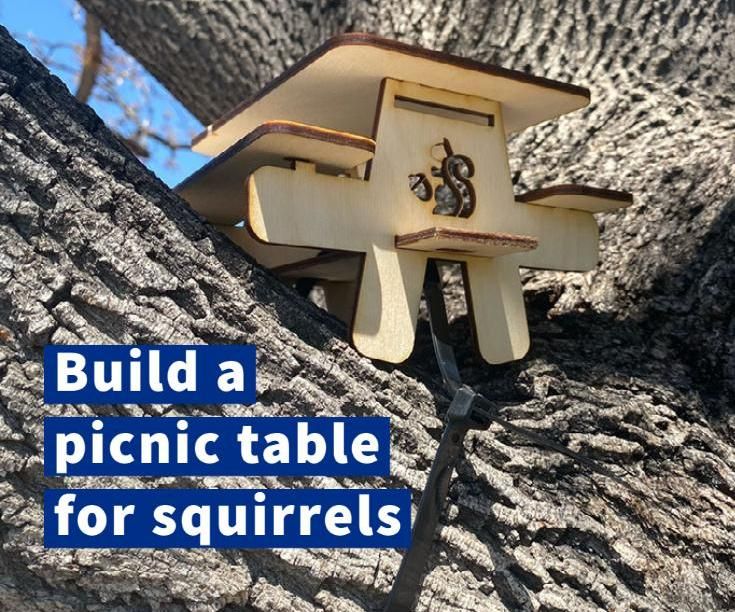 Laser Cut Squirrel Picnic Table