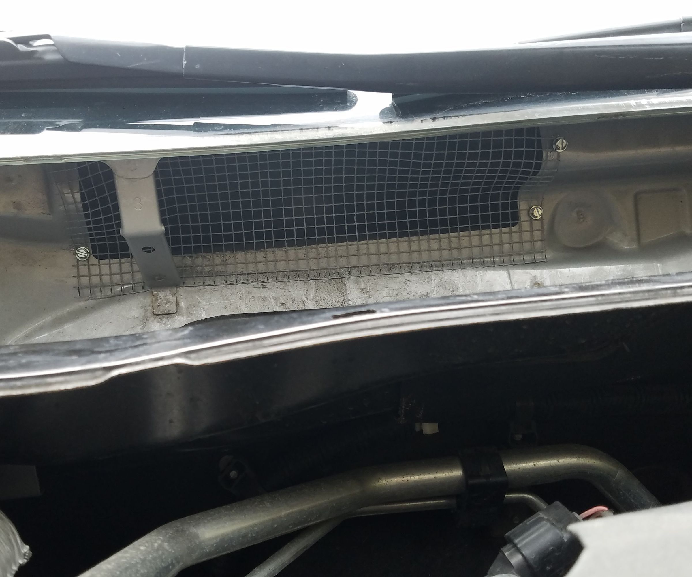 Mouse-Proofing a Toyota Corolla