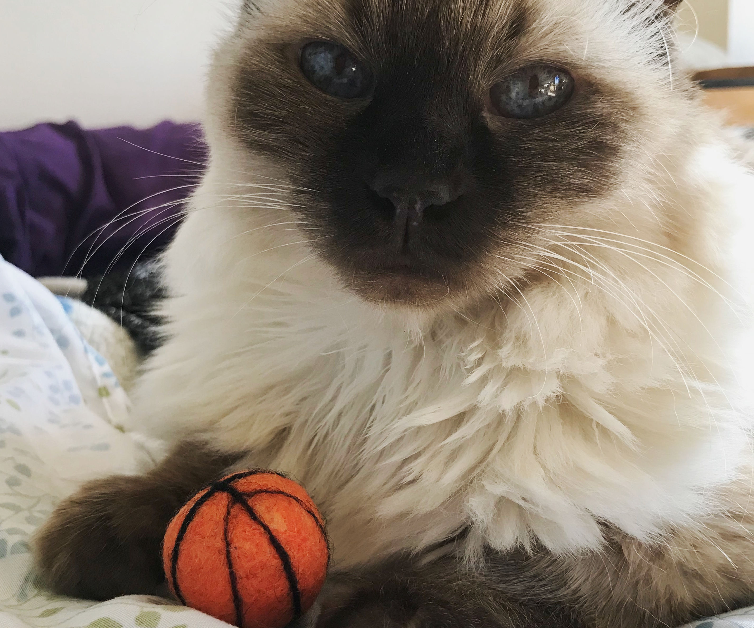 Pocket Sized Felted Basketball