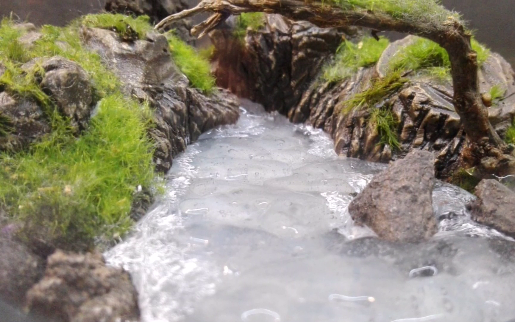 DIY River Terrarium|Diorama|Aquascape : 5 Steps - Instructables