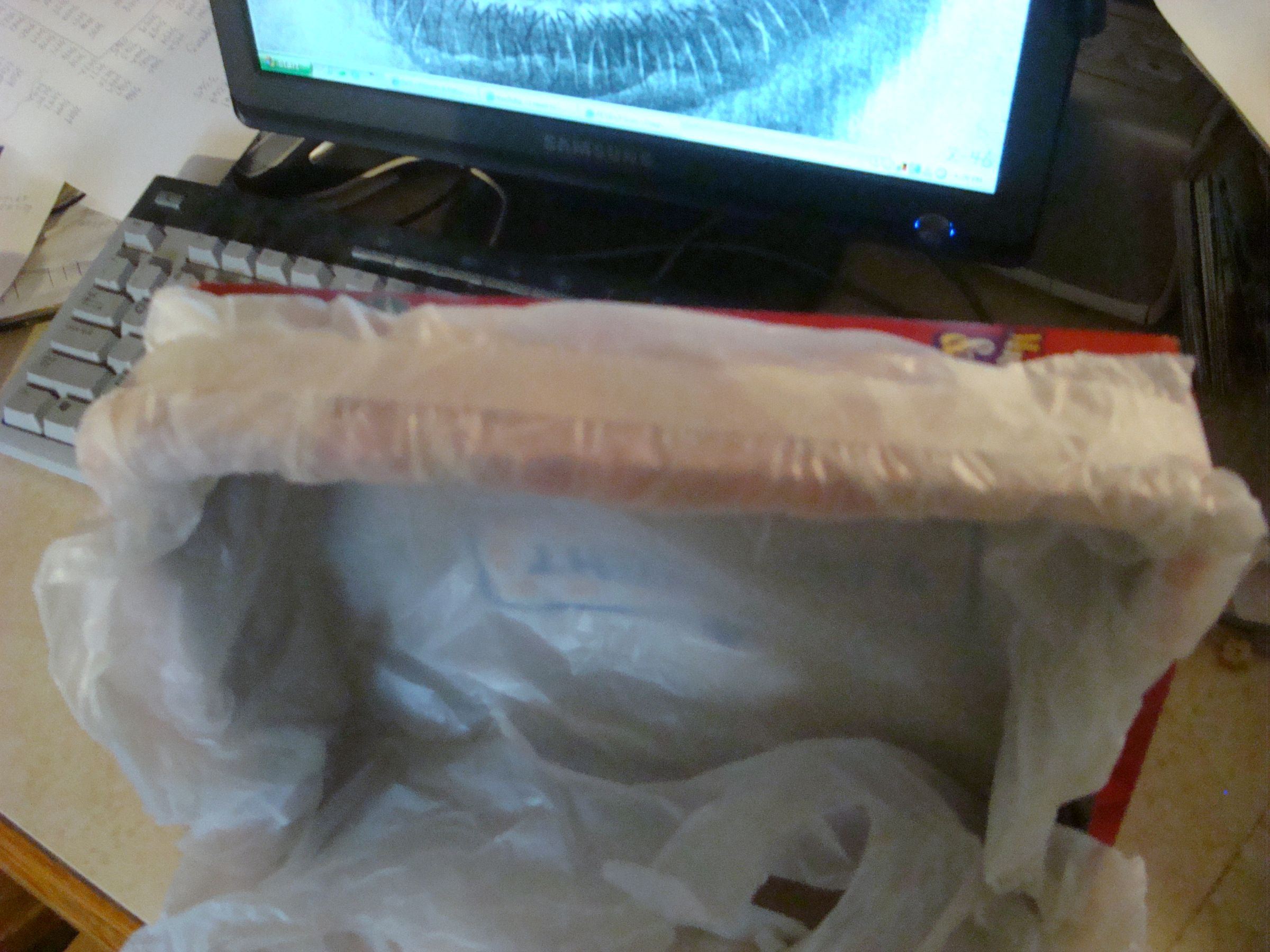 Disposable/Temporary Litter Box 5 Steps Instructables