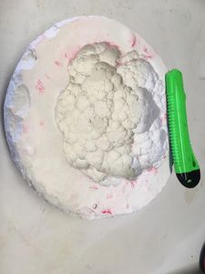 Mold for the Cloud of Smoke