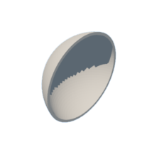 download {{ file.name }}