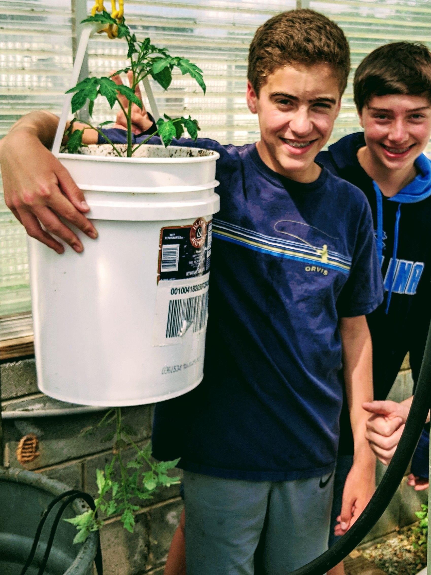 UpsideDownRightSideUp Tomato Planter 5 Steps (with Pictures