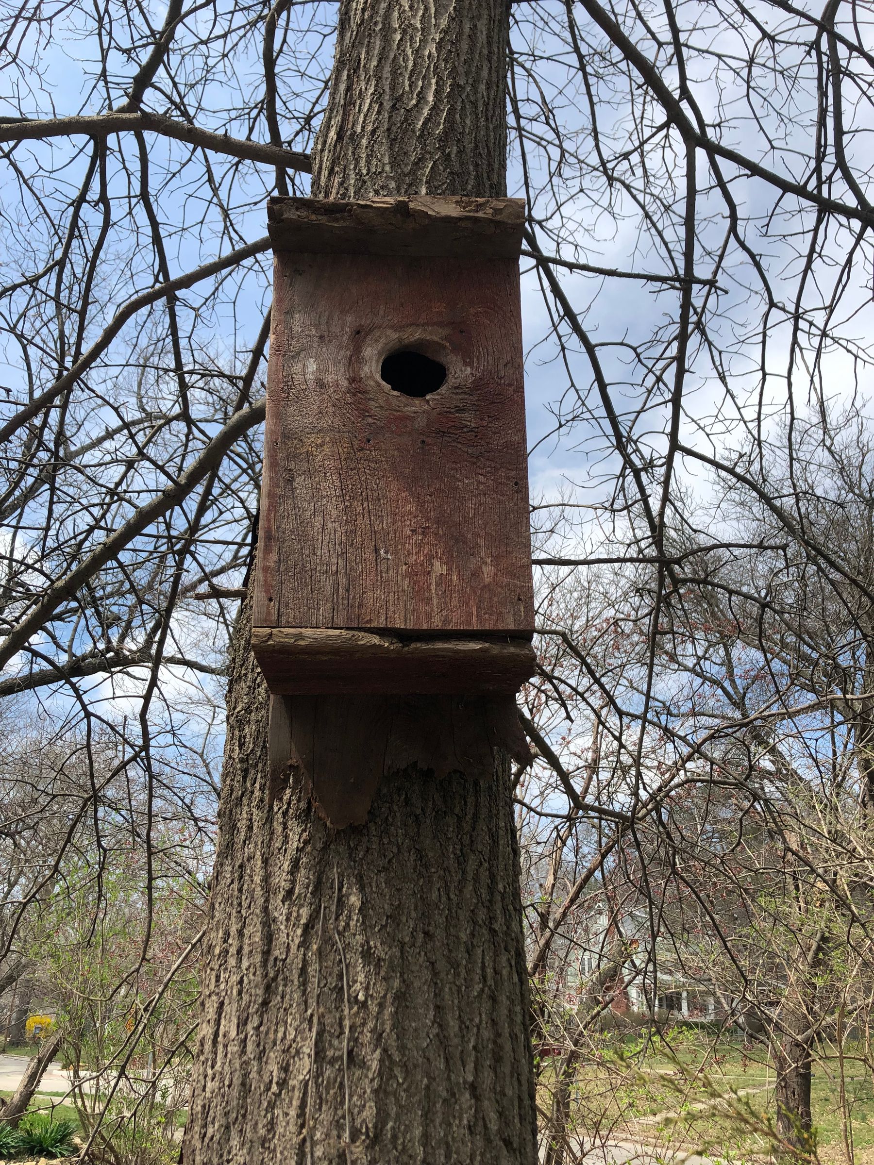 How to Attach a Birdhouse to a Tree Without Harming the Tree 4 Steps