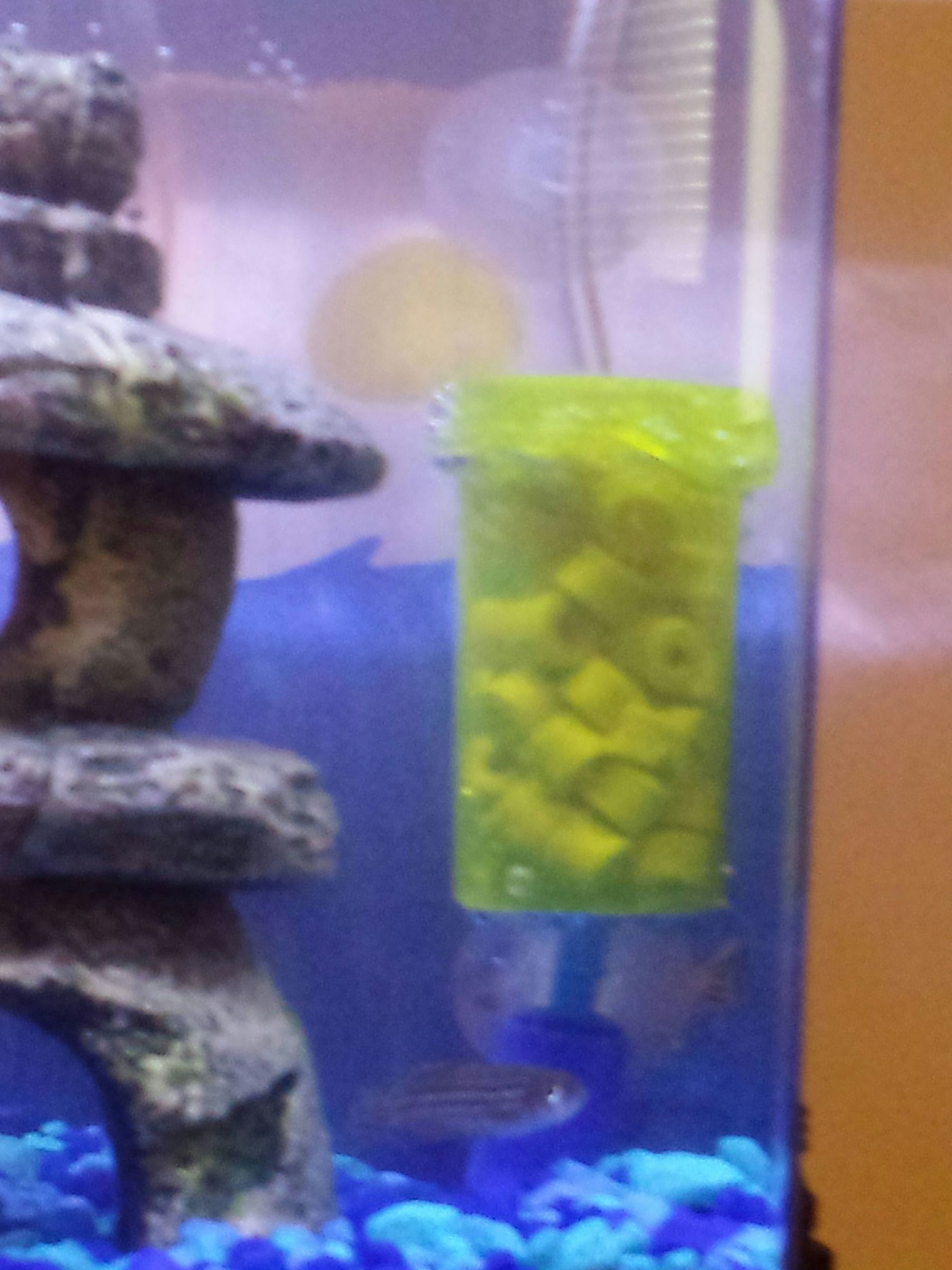 fish tank microfilter